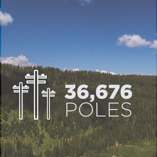 poles