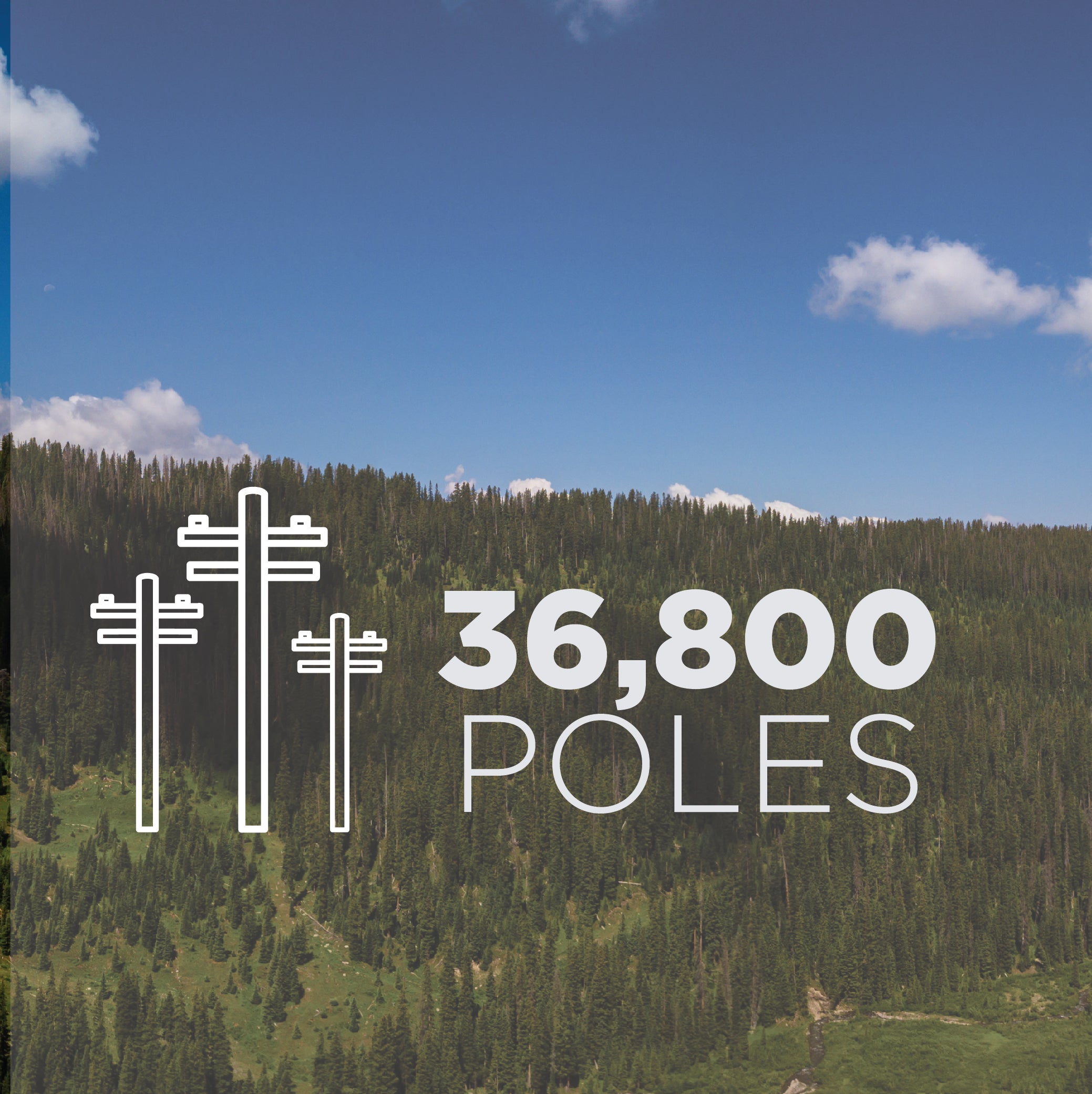 poles