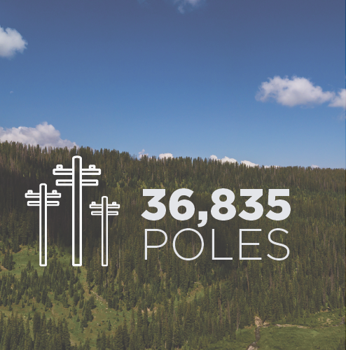 poles