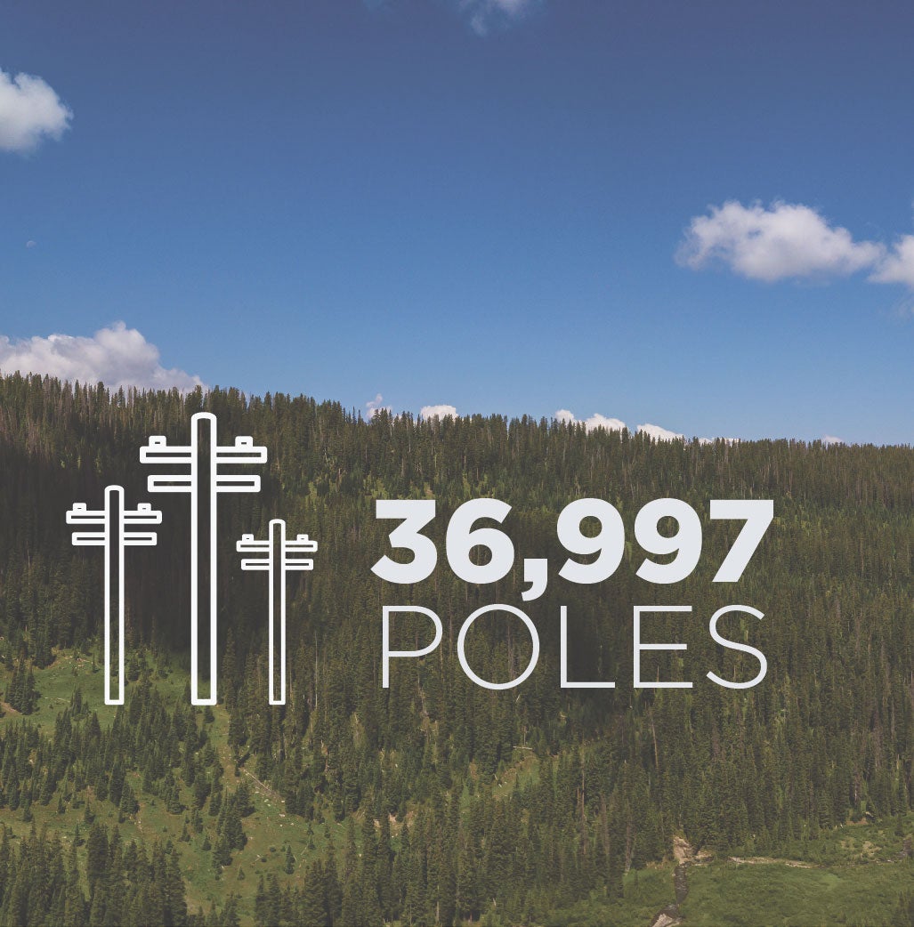 36,997 Poles