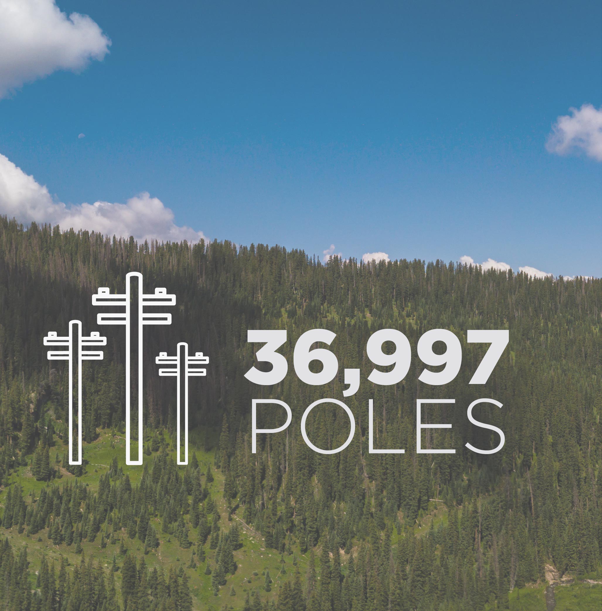 36,997 Poles