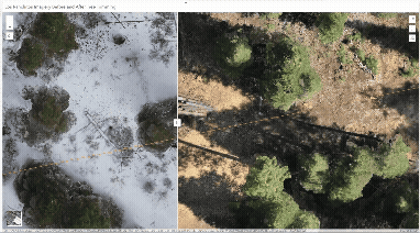Los Ranchitos before and after gif