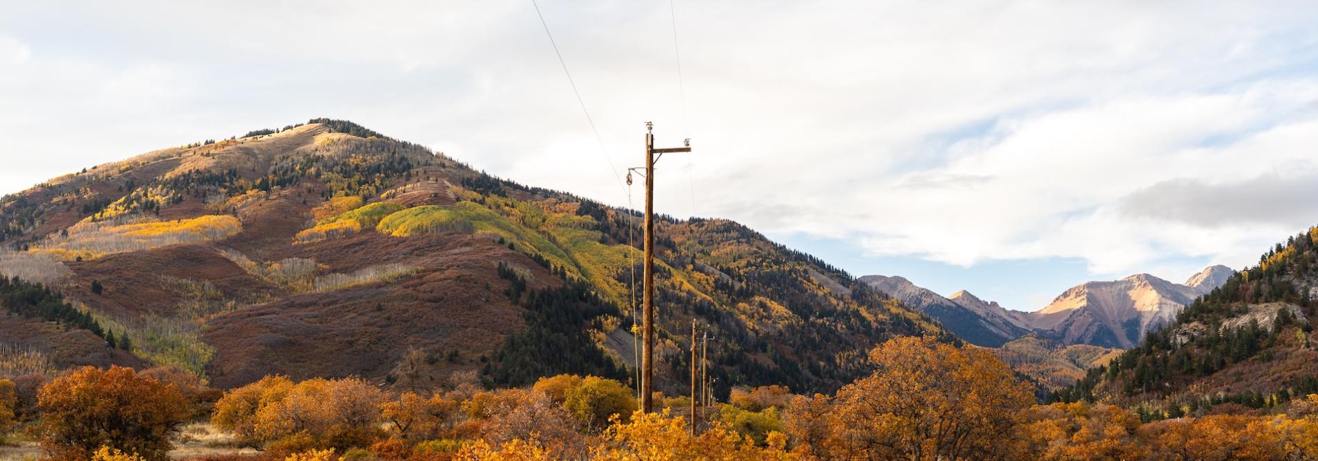Powerline in Mayday in fall 