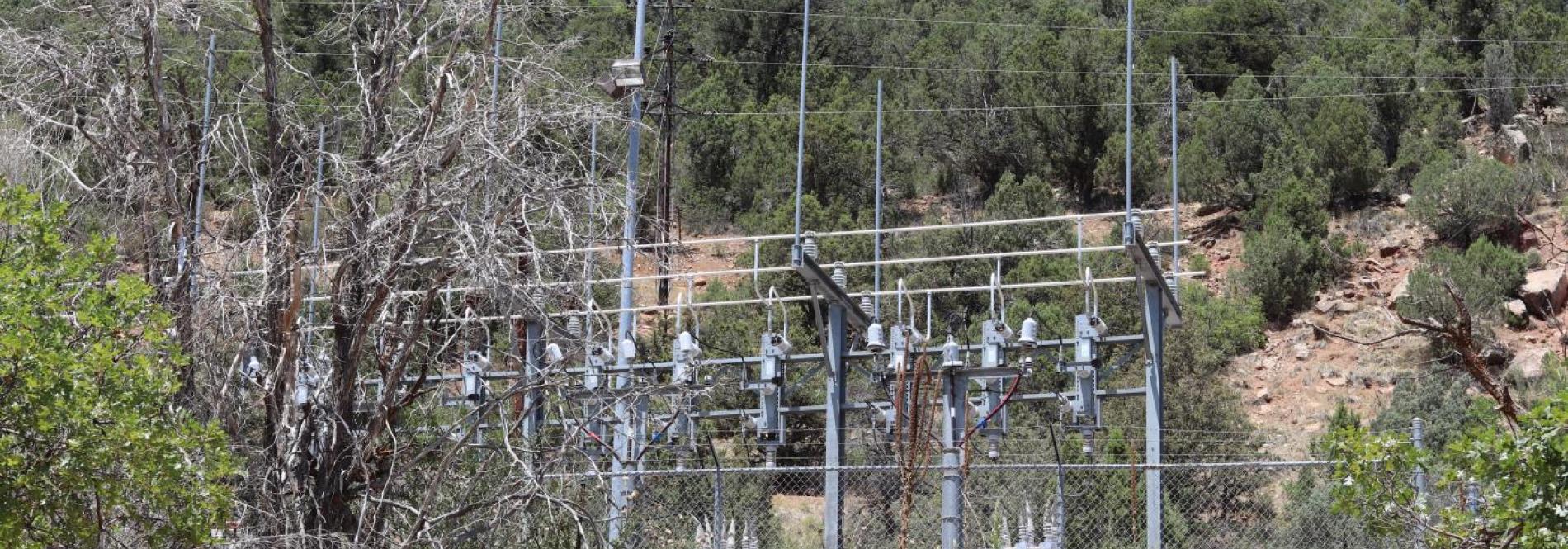 Animas substation