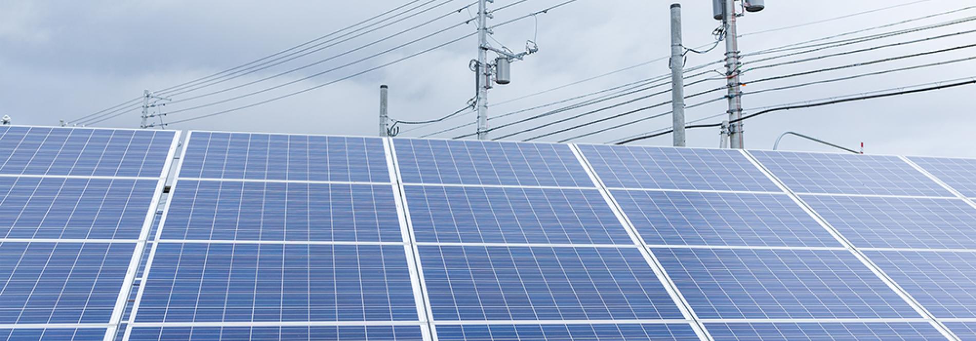 LPEA statement on Hesperus solar project